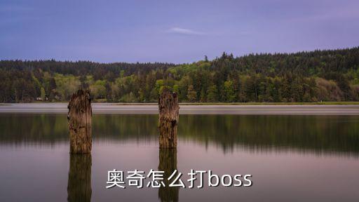 奥奇怎么打boss