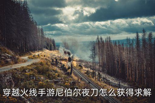 穿越火线手游尼伯尔夜刀怎么获得求解