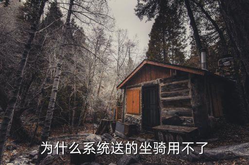 为什么系统送的坐骑用不了