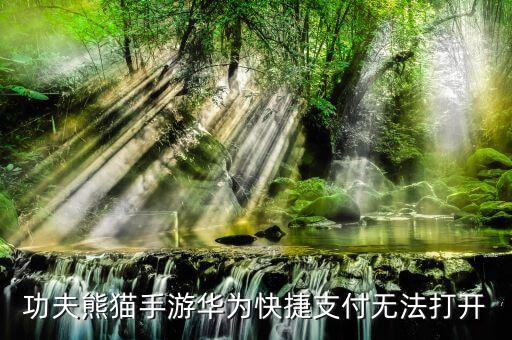 功夫熊猫手游华为快捷支付无法打开