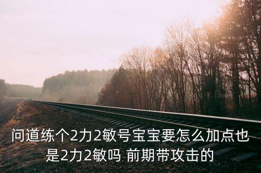 问道练个2力2敏号宝宝要怎么加点也是2力2敏吗 前期带攻击的