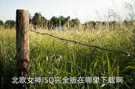 北欧女神ISO完全版在哪里下载啊