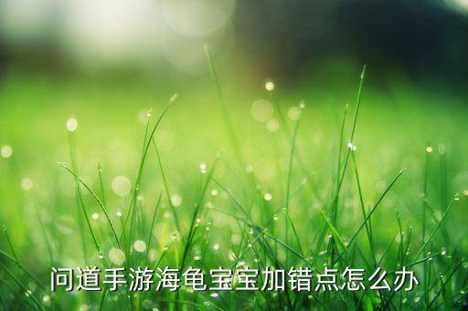 问道手游海龟宝宝加错点怎么办