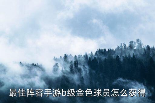最佳阵容手游b级金色球员怎么获得