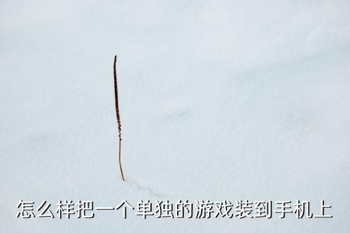 怎么对接一个手游，怎么样把一个单独的游戏装到手机上