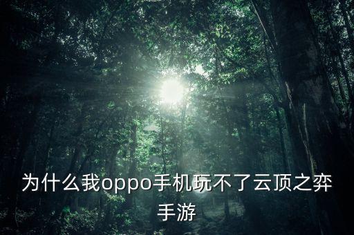 为什么我oppo手机玩不了云顶之弈手游