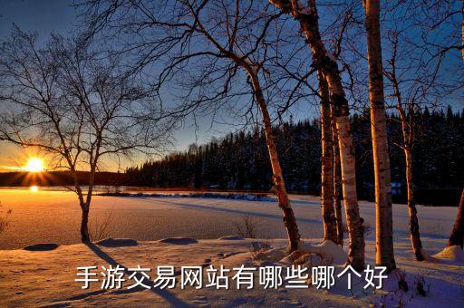 手游交易网站有哪些哪个好