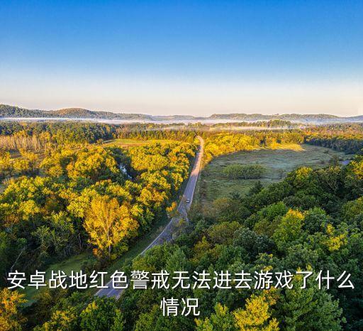 安卓战地红色警戒无法进去游戏了什么情况