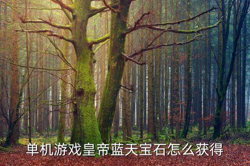 单机游戏皇帝蓝天宝石怎么获得