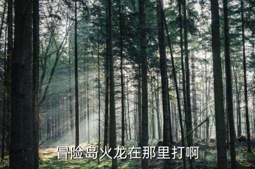 冒险岛手游火龙怎么打，冒险岛火龙在那里打啊