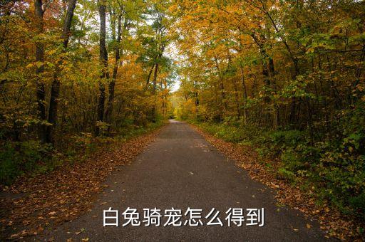 白兔骑宠怎么得到