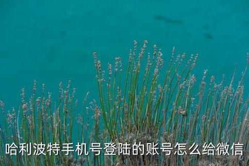 哈利波特手机号登陆的账号怎么给微信