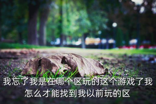 我忘了我是在哪个区玩的这个游戏了我怎么才能找到我以前玩的区