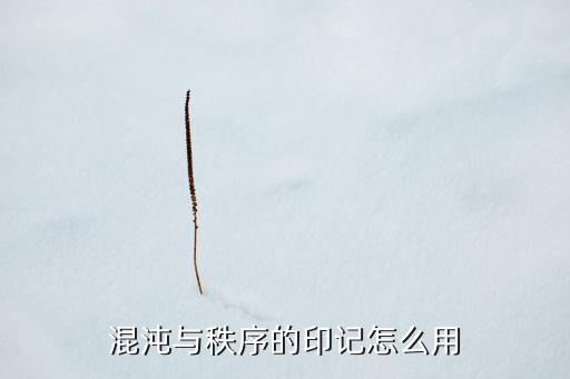 混沌与秩序的印记怎么用