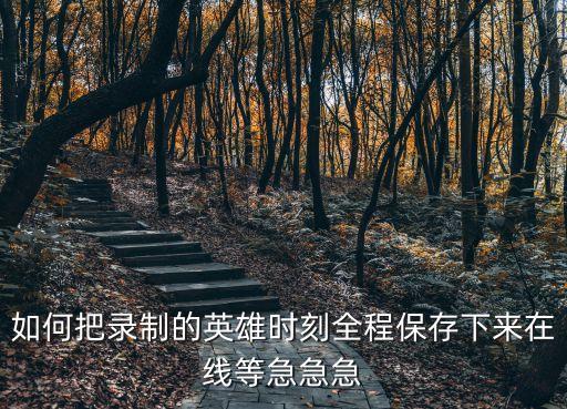 如何把录制的英雄时刻全程保存下来在线等急急急