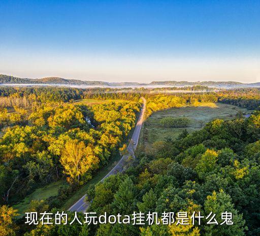现在的人玩dota挂机都是什么鬼