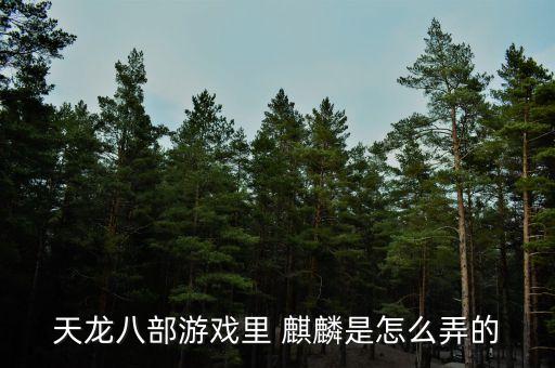 天龙八部游戏里 麒麟是怎么弄的