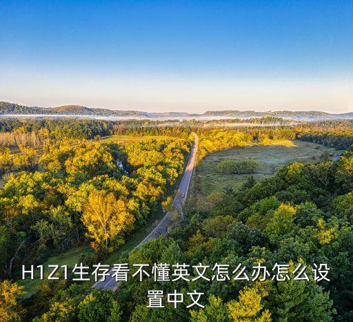 H1Z1生存看不懂英文怎么办怎么设置中文