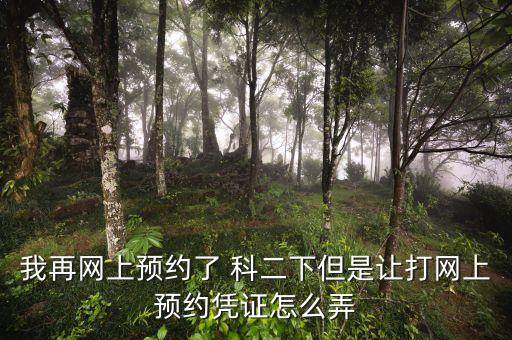 我再网上预约了 科二下但是让打网上预约凭证怎么弄