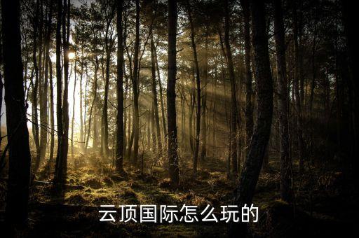 云顶国际怎么玩的