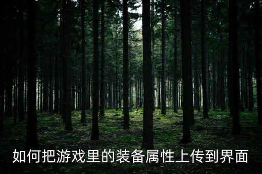 如何把游戏里的装备属性上传到界面