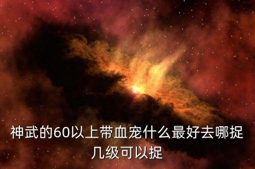 神武的60以上带血宠什么最好去哪捉几级可以捉