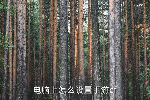 电脑上怎么设置手游cf