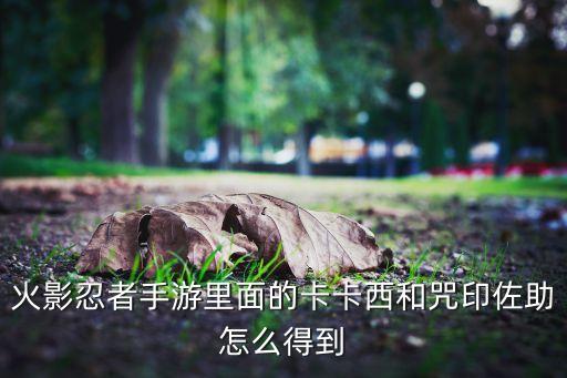 火影忍者手游里面的卡卡西和咒印佐助怎么得到