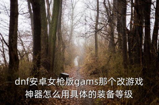 dnf安卓女枪版gams那个改游戏神器怎么用具体的装备等级