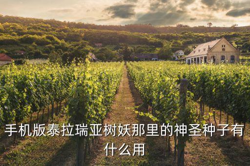 泰拉瑞亚手游种子怎么用，手机版泰拉瑞亚树妖那里的神圣种子有什么用