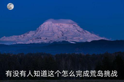 有没有人知道这个怎么完成荒岛挑战