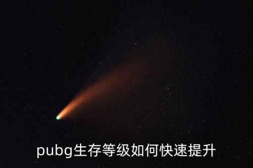 手游pubg怎么升级最快，pubg生存等级如何快速提升
