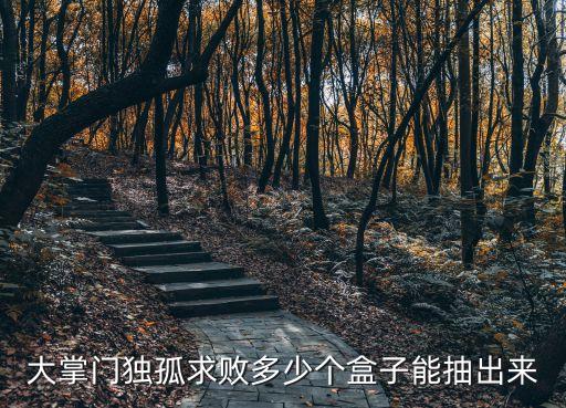 大掌门独孤求败多少个盒子能抽出来