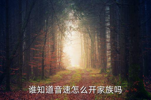 谁知道音速怎么开家族吗