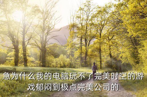 急为什么我的电脑玩不了完美时空的游戏郁闷到极点完美公司的