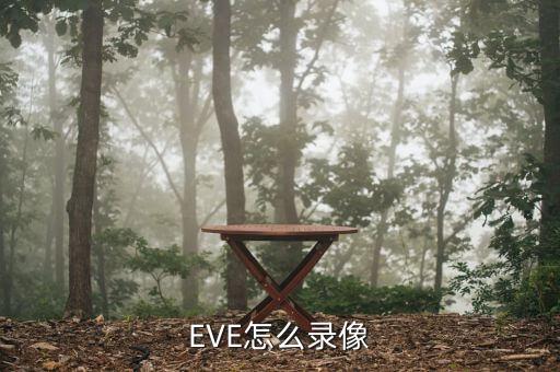 EVE怎么录像