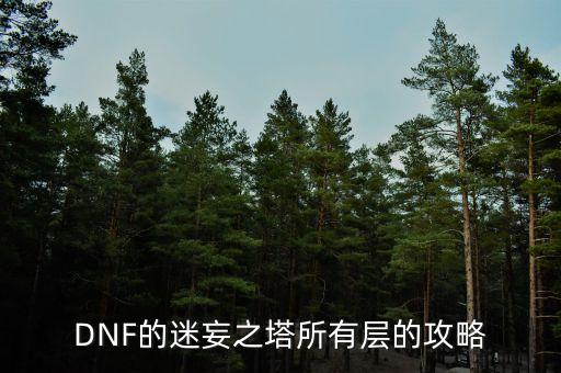 DNF的迷妄之塔所有层的攻略