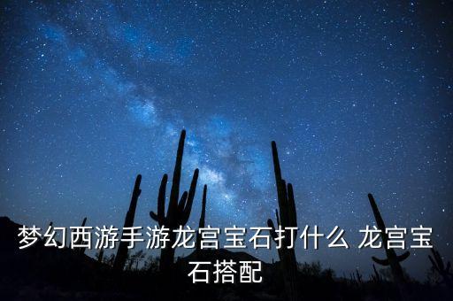 梦幻西游手游龙宫宝石打什么 龙宫宝石搭配