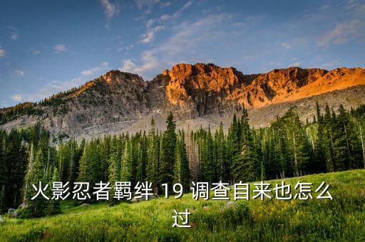 火影忍者羁绊 19 调查自来也怎么过