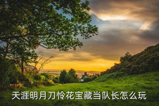 天涯明月刀怜花宝藏当队长怎么玩