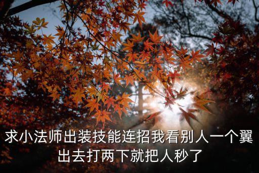 求小法师出装技能连招我看别人一个翼出去打两下就把人秒了