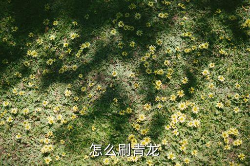 怎么刷青龙
