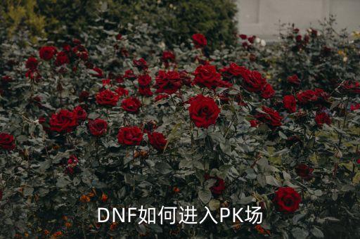 DNF如何进入PK场