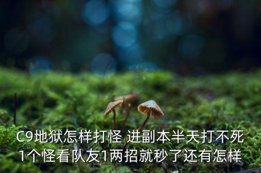 C9地狱怎样打怪 进副本半天打不死1个怪看队友1两招就秒了还有怎样