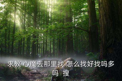 求教 心魔去那里找 怎么找好找吗多吗  搜