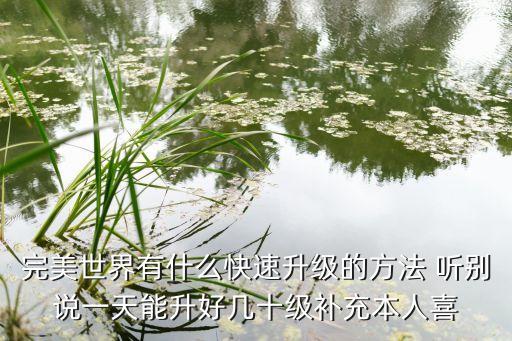 完美世界有什么快速升级的方法 听别说一天能升好几十级补充本人喜