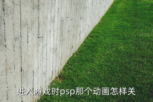 进入游戏时psp那个动画怎样关