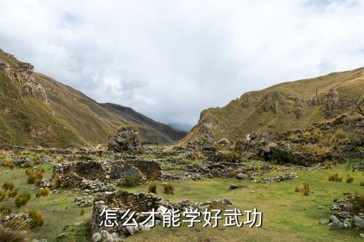 怎么才能学好武功