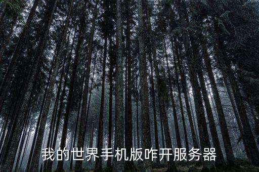 我的世界手机版咋开服务器
