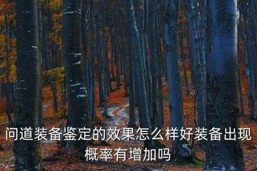 问道装备鉴定的效果怎么样好装备出现概率有增加吗